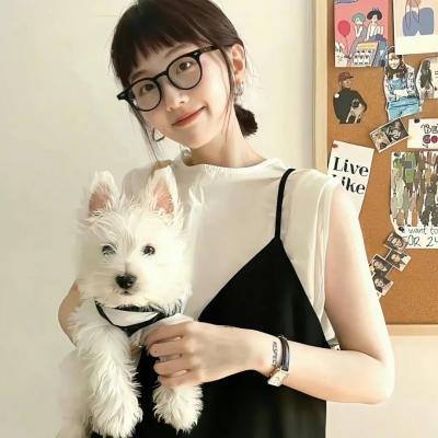 美声歌鸡